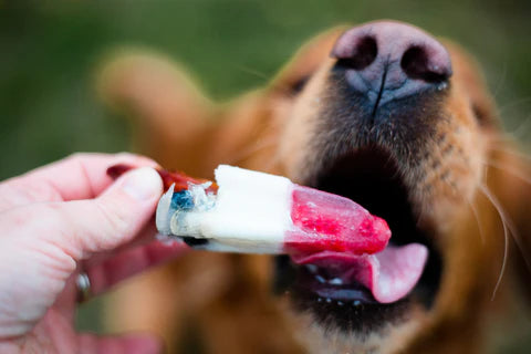 4th of july dog treats clearance