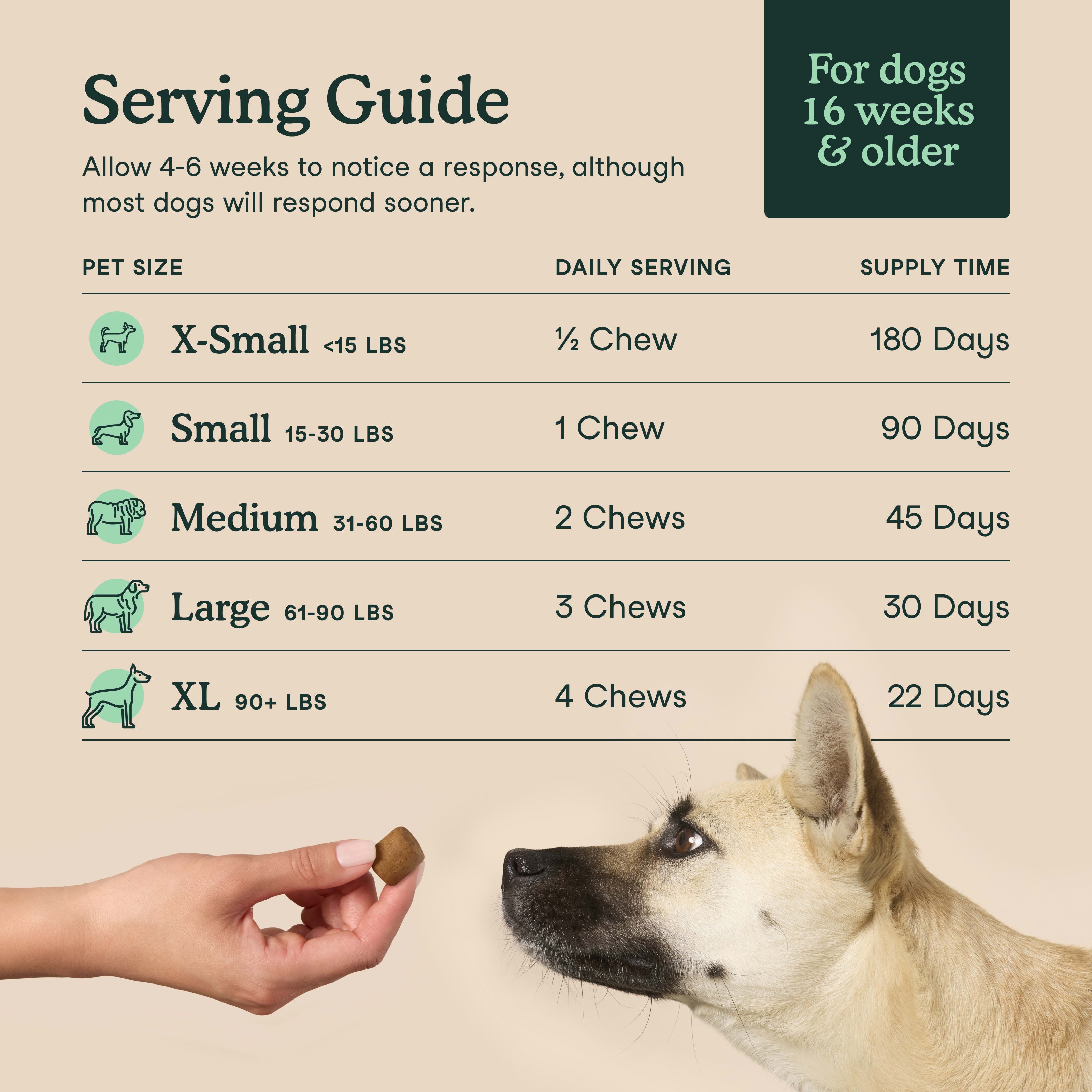 Hip + Joint Support for Dogs
