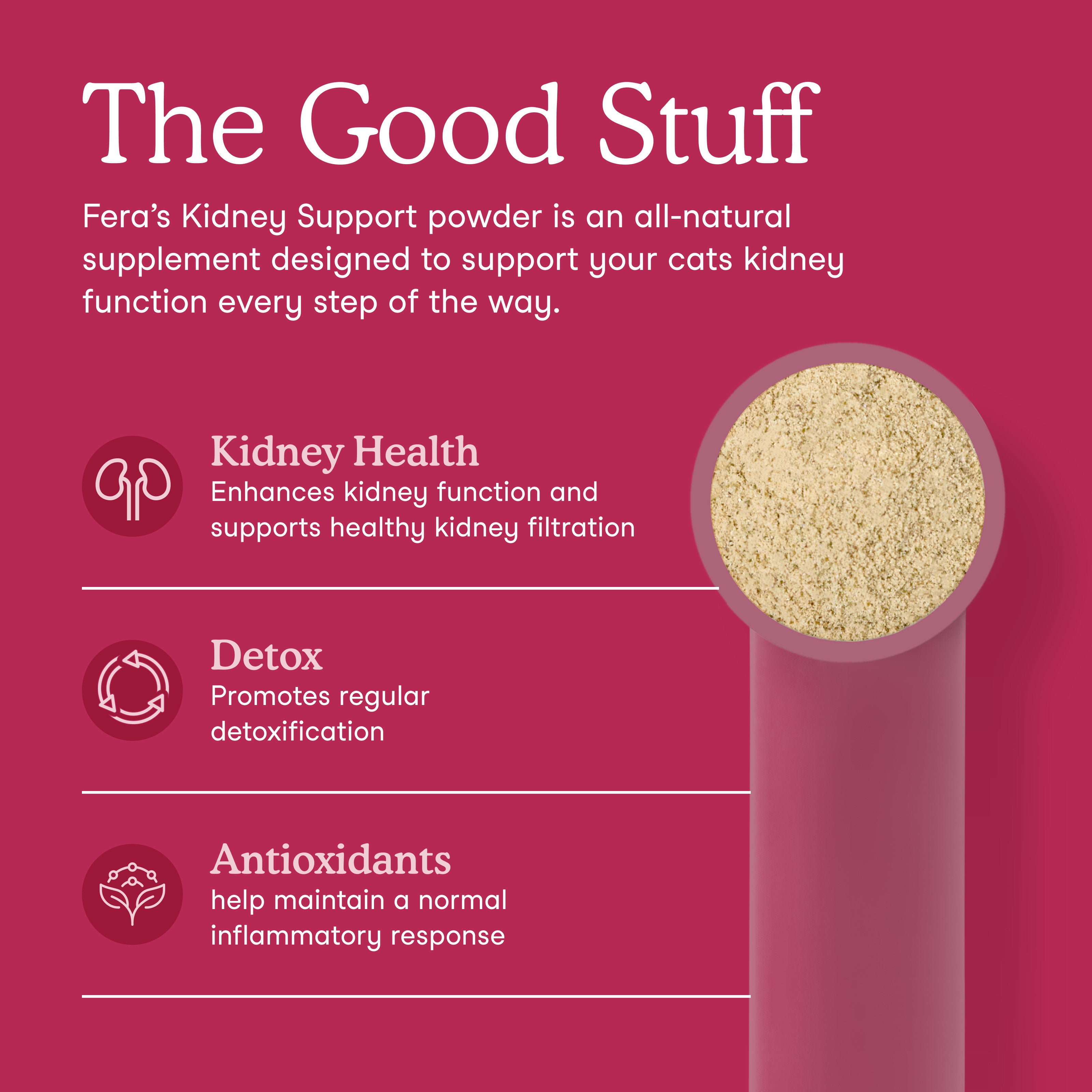 Kidney Support for Cats