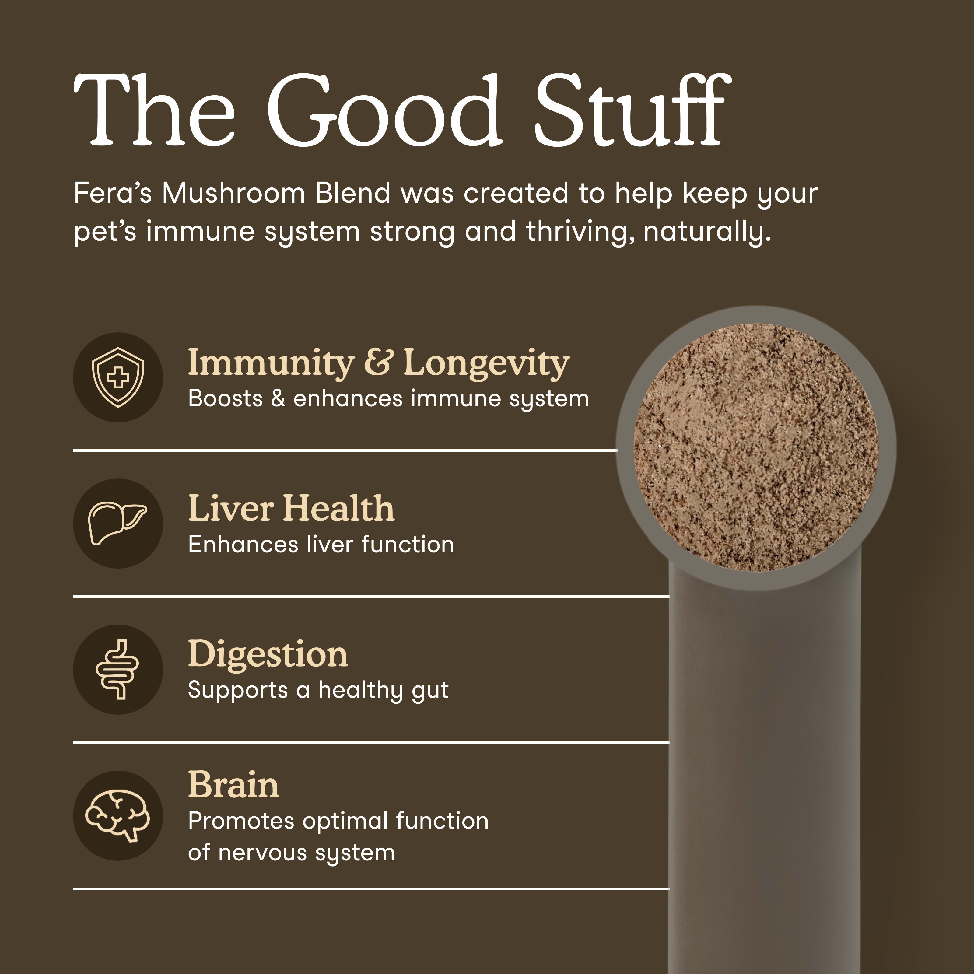 USDA Organic Mushroom Blend for Immune Support