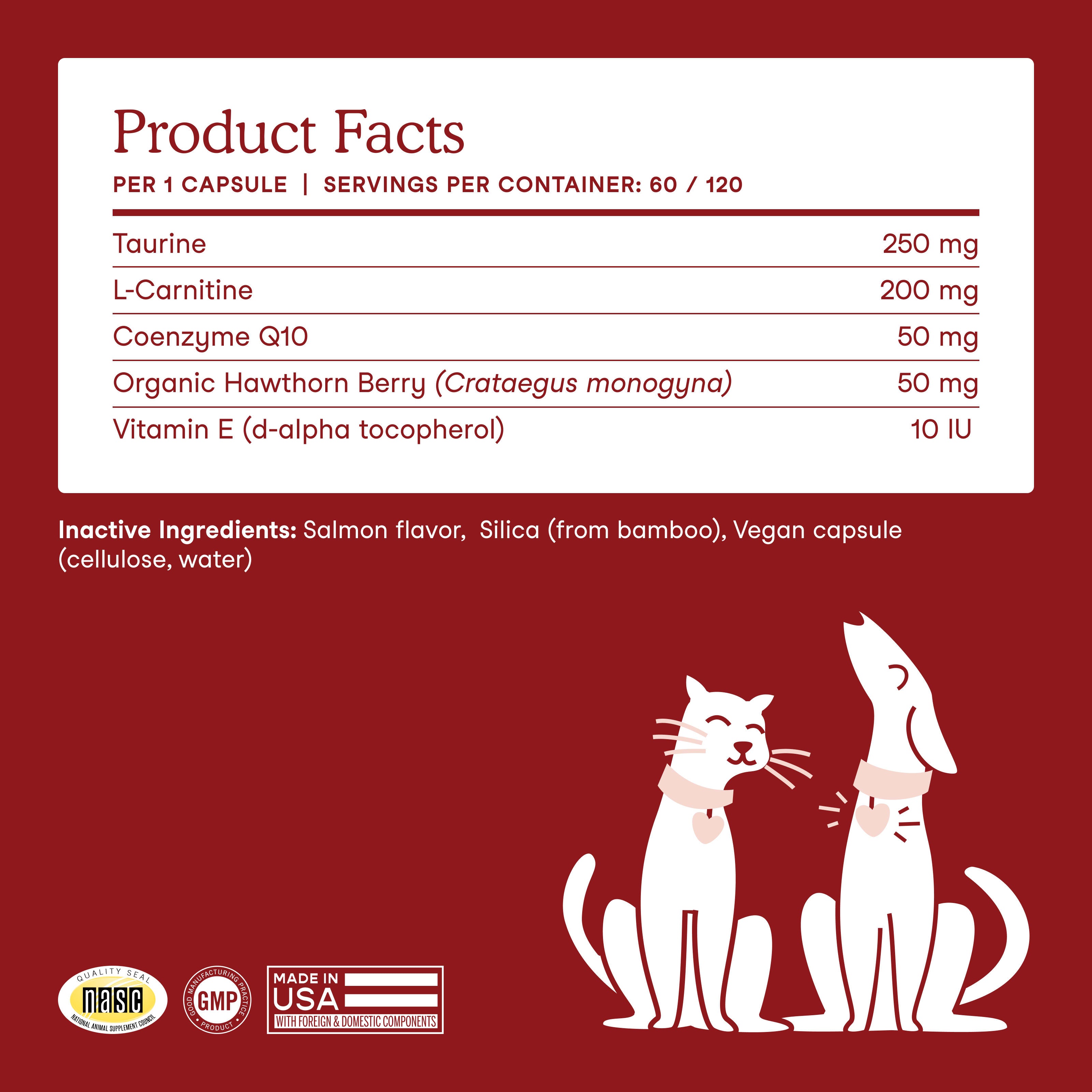 Cardiac Support for Dogs and Cats