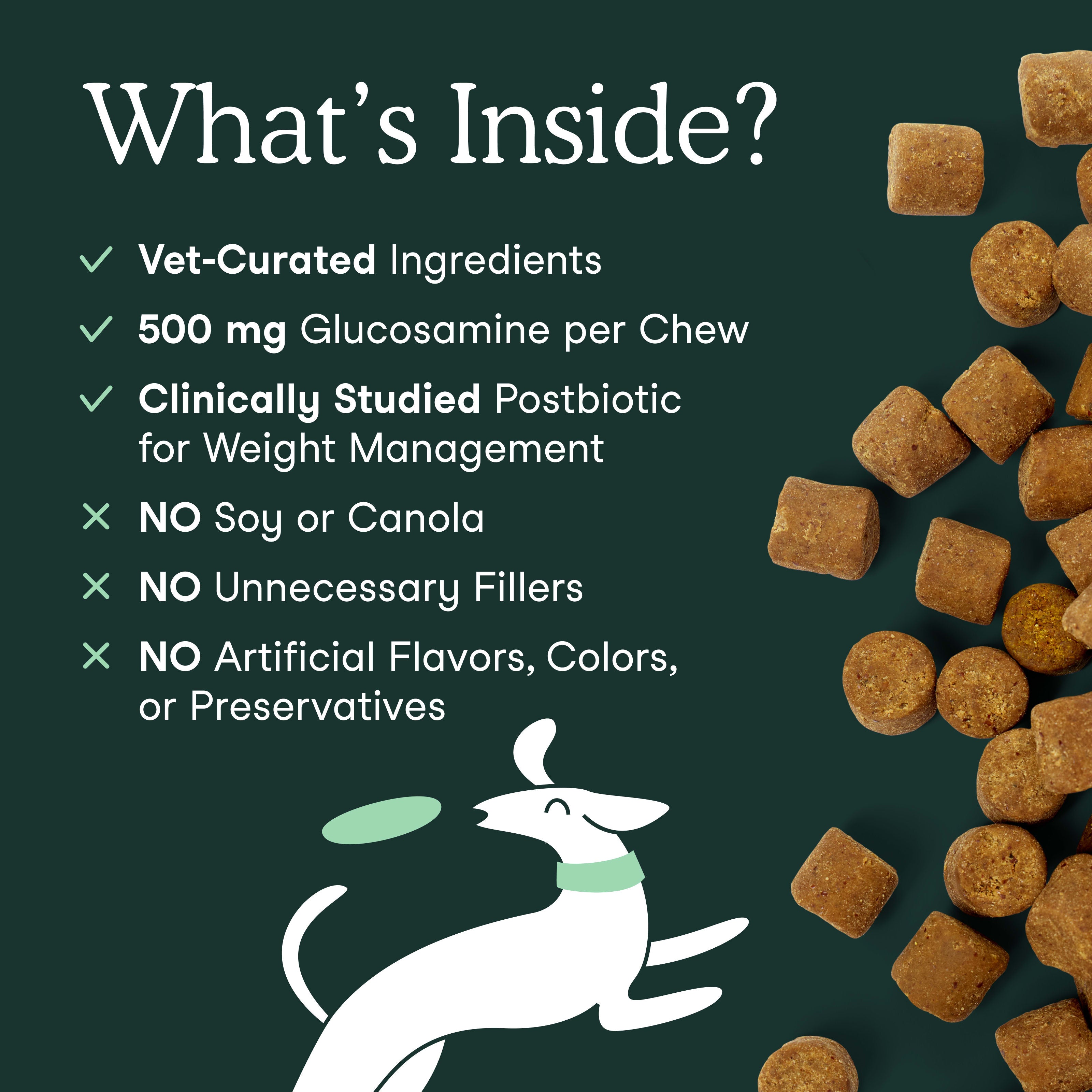 Hip + Joint Support for Dogs