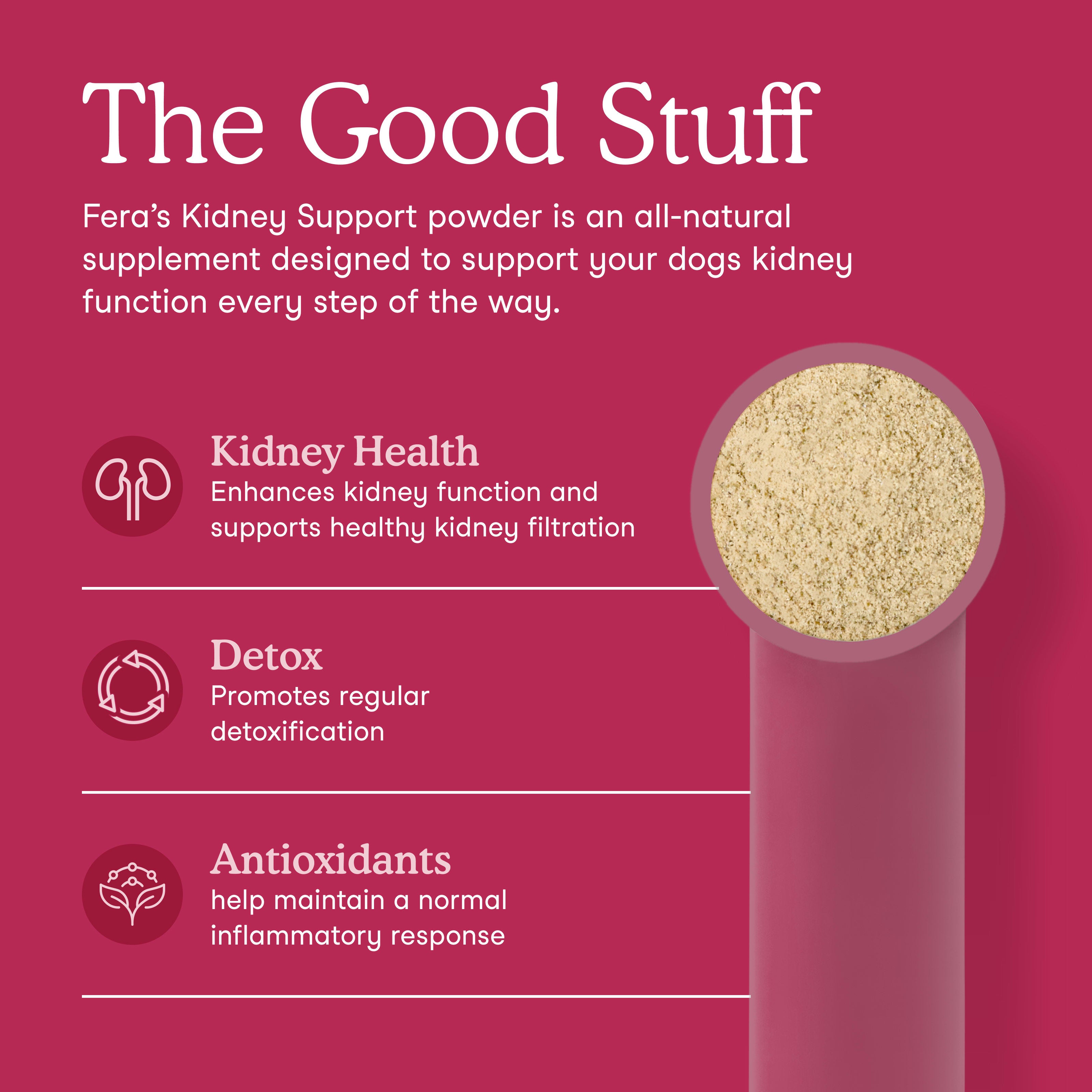 Kidney Support for Dogs