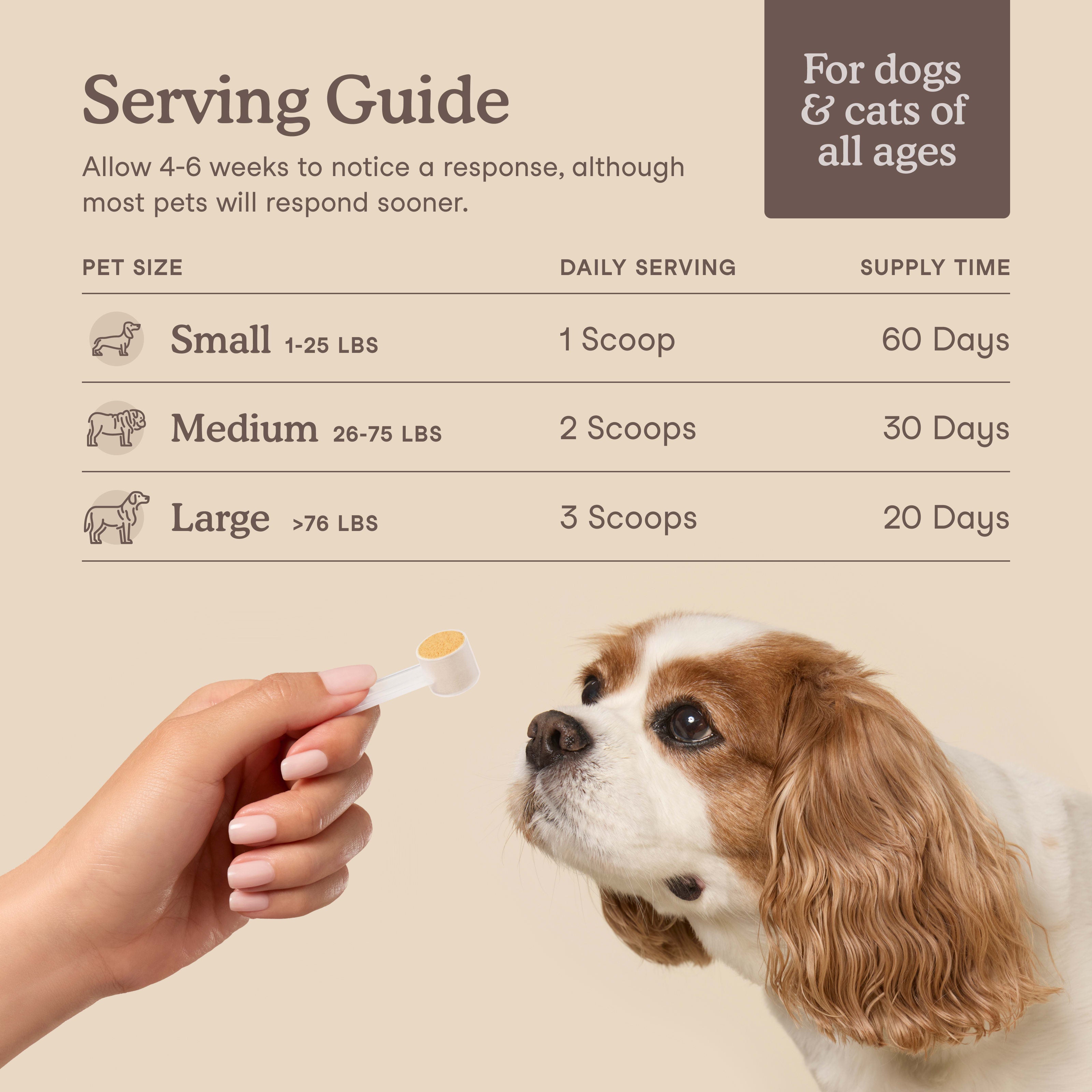 Liver Support for Dogs and Cats