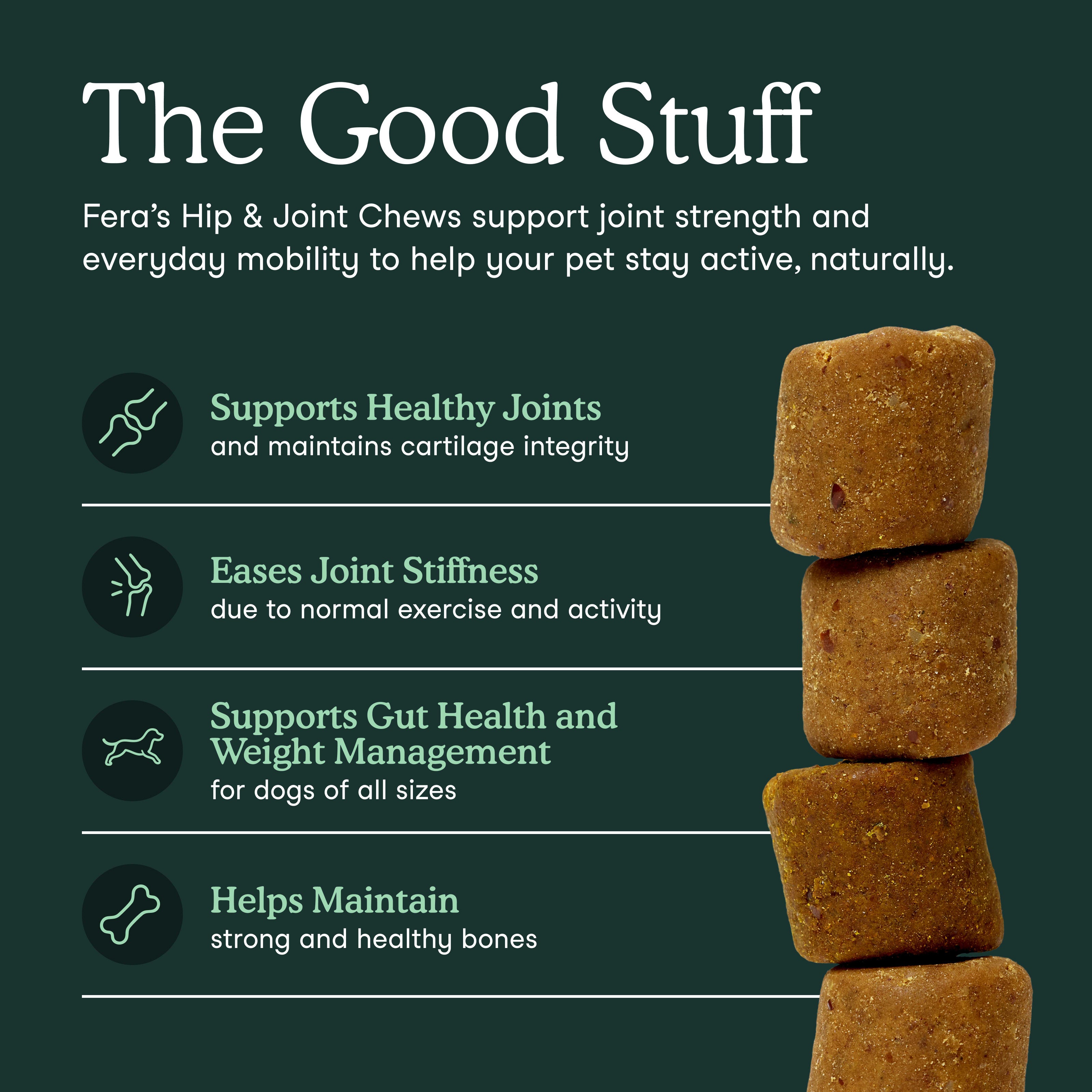 Hip + Joint Support for Dogs