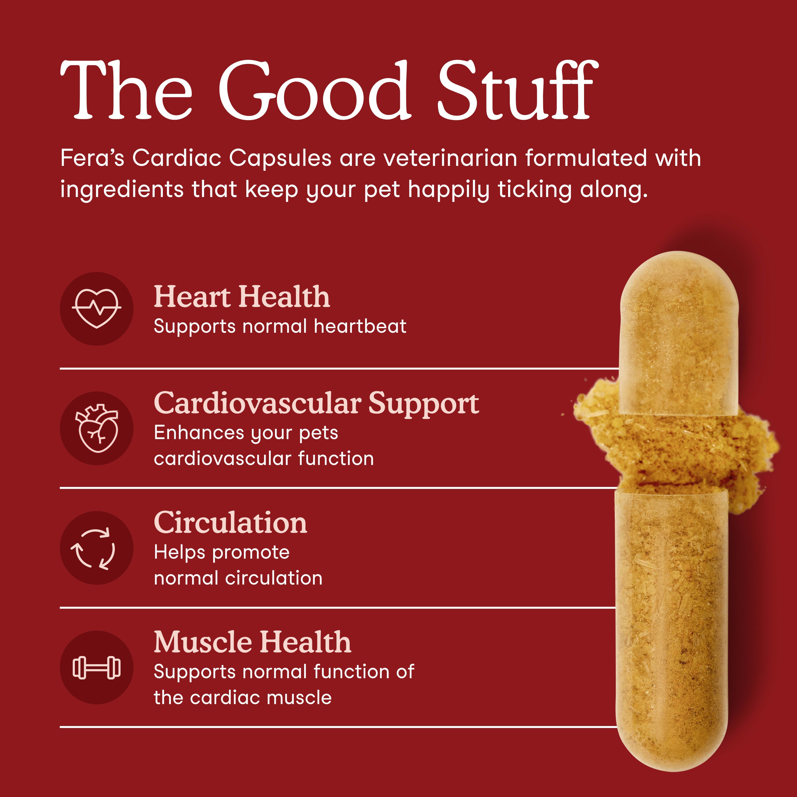 Cardiac Support for Dogs and Cats