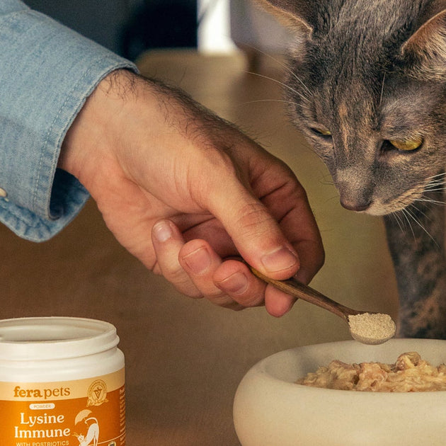 cat supplements collection