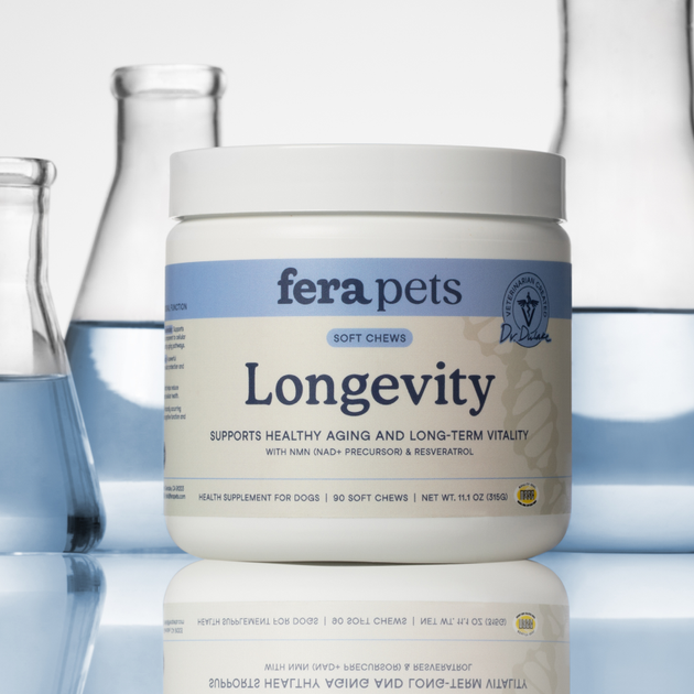 Fera Pets Longevity Soft Chews for Dogs in front of beakers filled with clear blue liquid