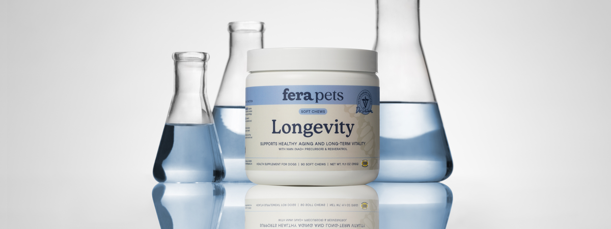 Fera Pets Longevity Soft Chews for Dogs in front of beakers filled with clear blue liquid