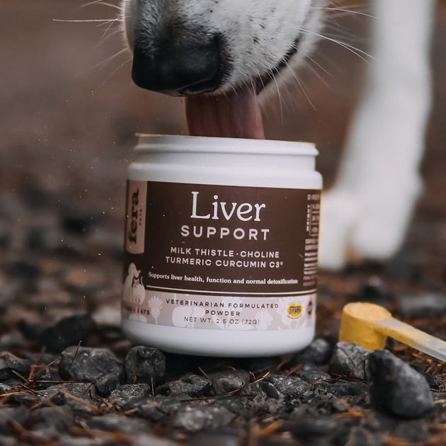Liver Support