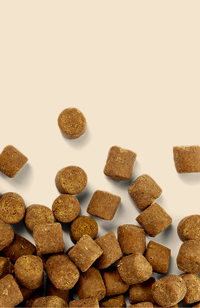 Brown Fera Pets Soft Chews scattered across the bottom half of a light beige background, leaving negative space above.