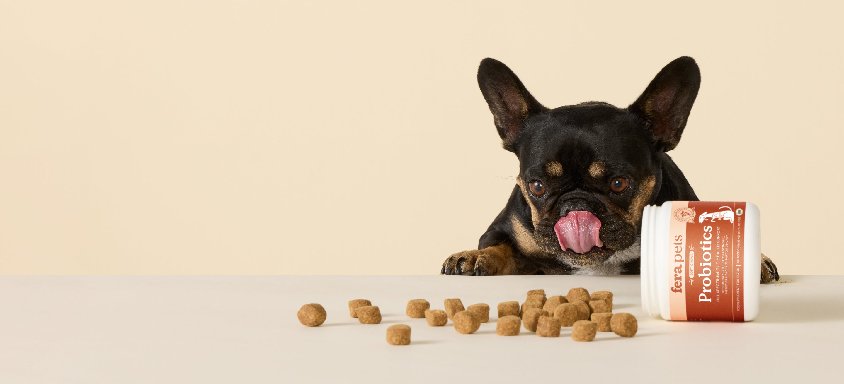 A small black-and-tan dog sits behind a white surface with scattered brown kibble pieces and a tipped-over white supplement container labeled Probiotics. The dog licks its tongue, and the background is a clean warm beige studio backdrop.