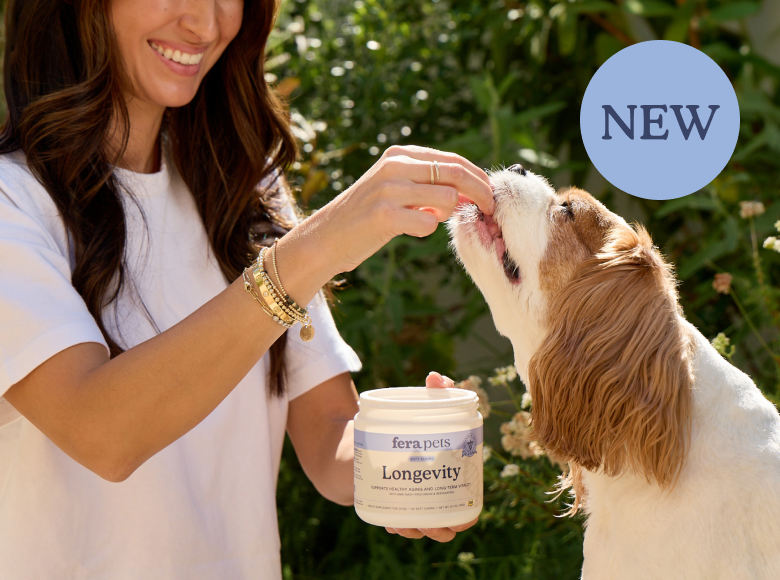 A woman outdoors feeds a brown and white dog while holding a white jar labeled 'fera pets Longevity'. A light blue circle in the top right says 'NEW'.