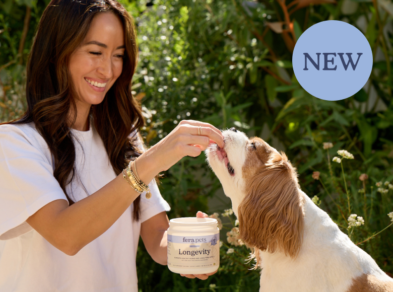 Women is feeds a brown and white dog a Fera Pets Longevity soft chew with one hand while the other holds the jar. They are outside in front of greenery.