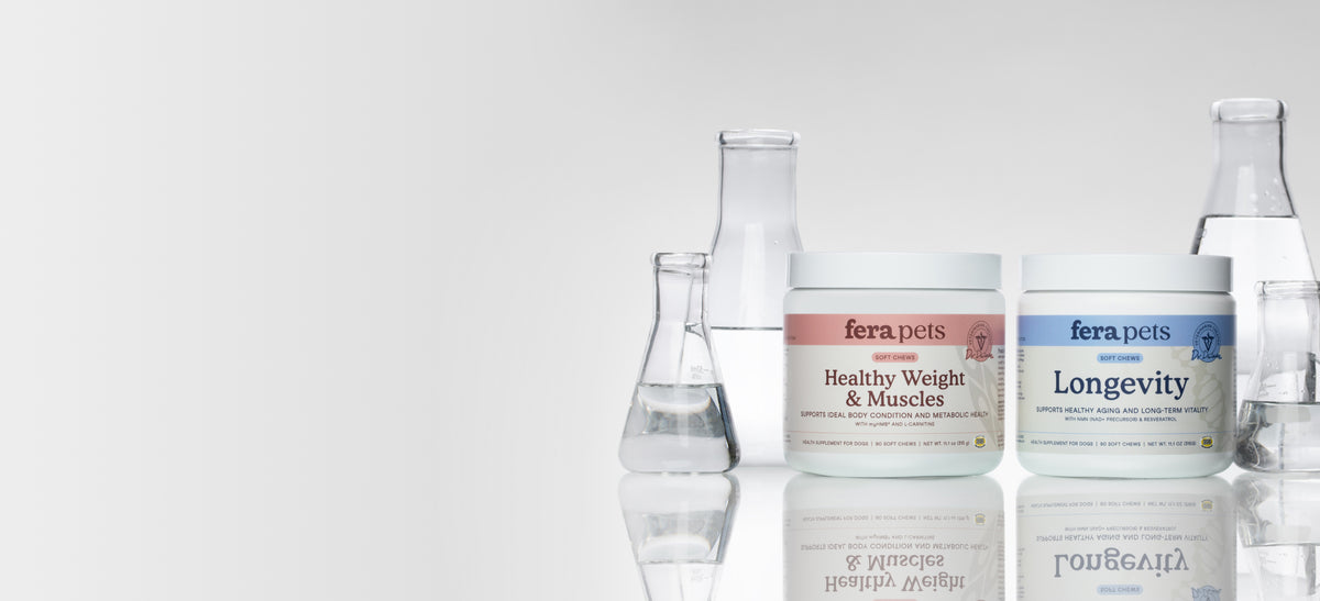 Fera Pets Healthy Weight & Muscles and Longevity for Dogs are shown next to scientific beakers with clear liquid
