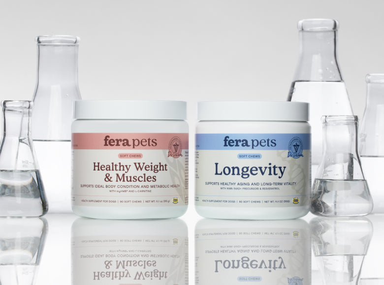 Fera Pets Healthy Weight & Muscles and Longevity for Dogs supplements  are shown next to scientific beakers with clear liquid