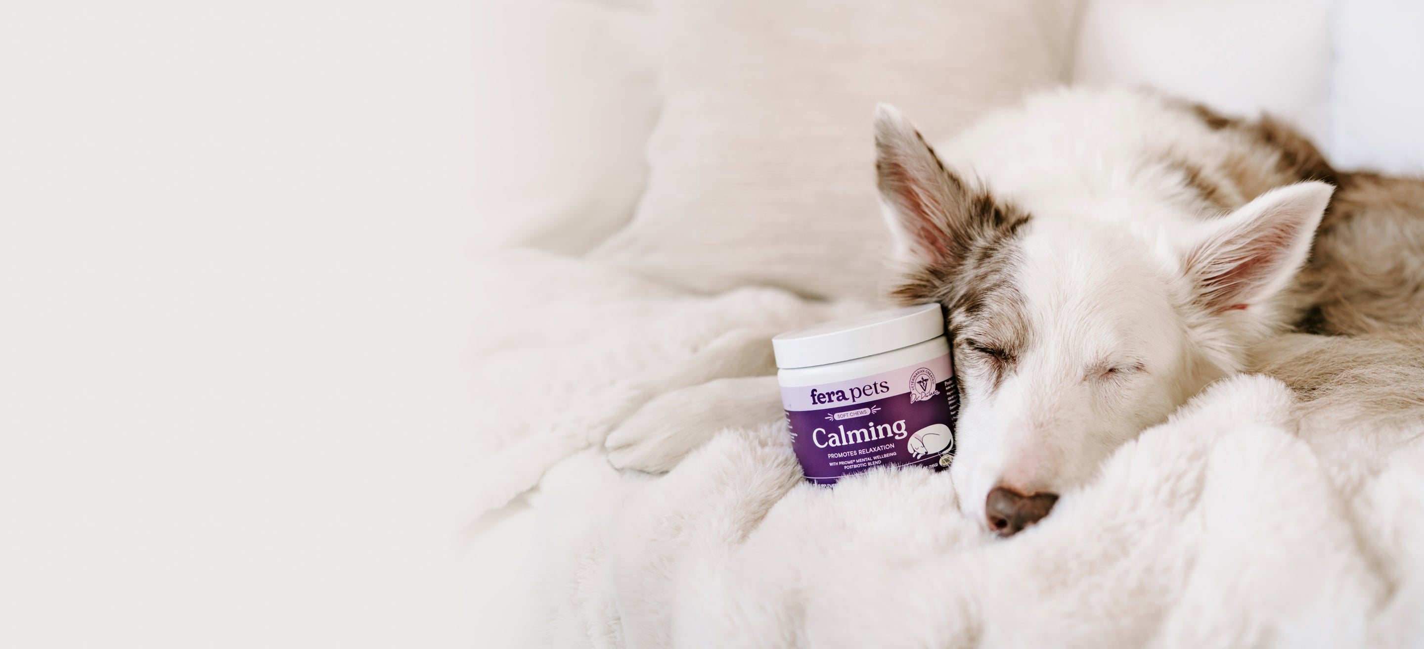 Good news for good dogs. 