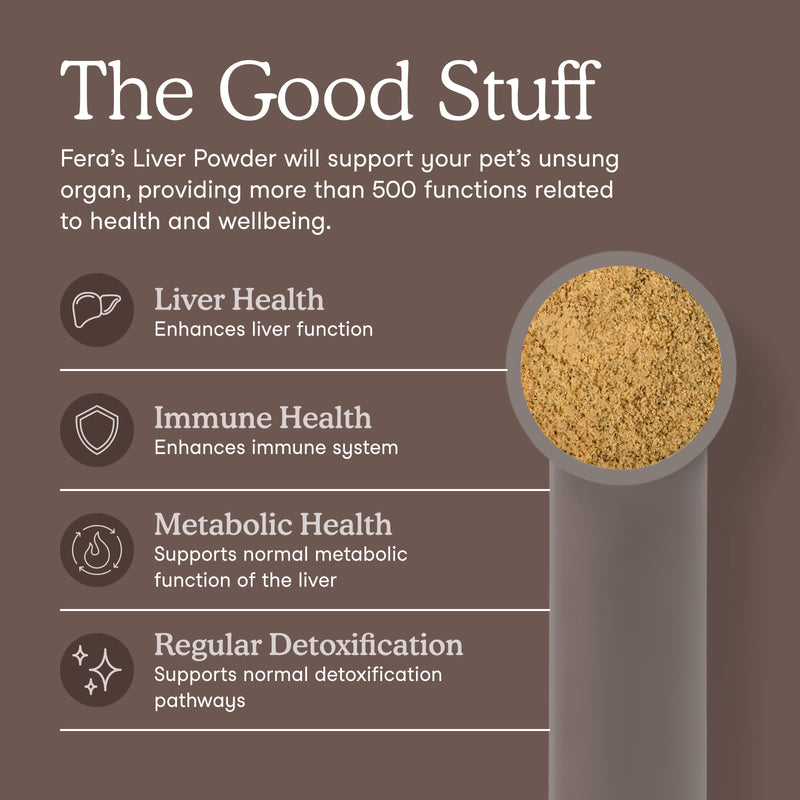Promotional infographic for Fera's Liver Powder on a dark brown background. The text explains benefits for liver, immune, metabolic, and detox health, with icons and a side view of the product—a gray cylindrical container filled with golden-brown powder.