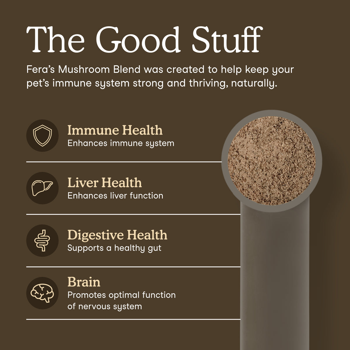 An informational graphic for Fera's Mushroom Blend pet supplement on a dark brown background. The text reads 'The Good Stuff' and lists benefits for immune health, liver health, digestive health, and brain health, alongside a side profile of a gray tube filled with brown mushroom powder.