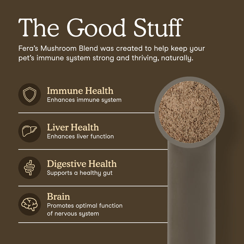 An informational graphic for Fera's Mushroom Blend pet supplement on a dark brown background. The text reads 'The Good Stuff' and lists benefits for immune health, liver health, digestive health, and brain health, alongside a side profile of a gray tube filled with brown mushroom powder.