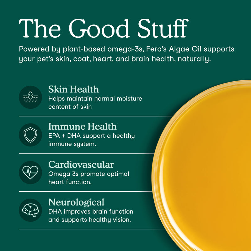 A dark teal informational graphic with the headline 'The Good Stuff' and text about plant-based omega-3s and Fera's Algae Oil supporting pet skin, coat, heart, and brain health. Bullet points list Skin Health, Immune Health, Cardiovascular, and Neurological benefits.