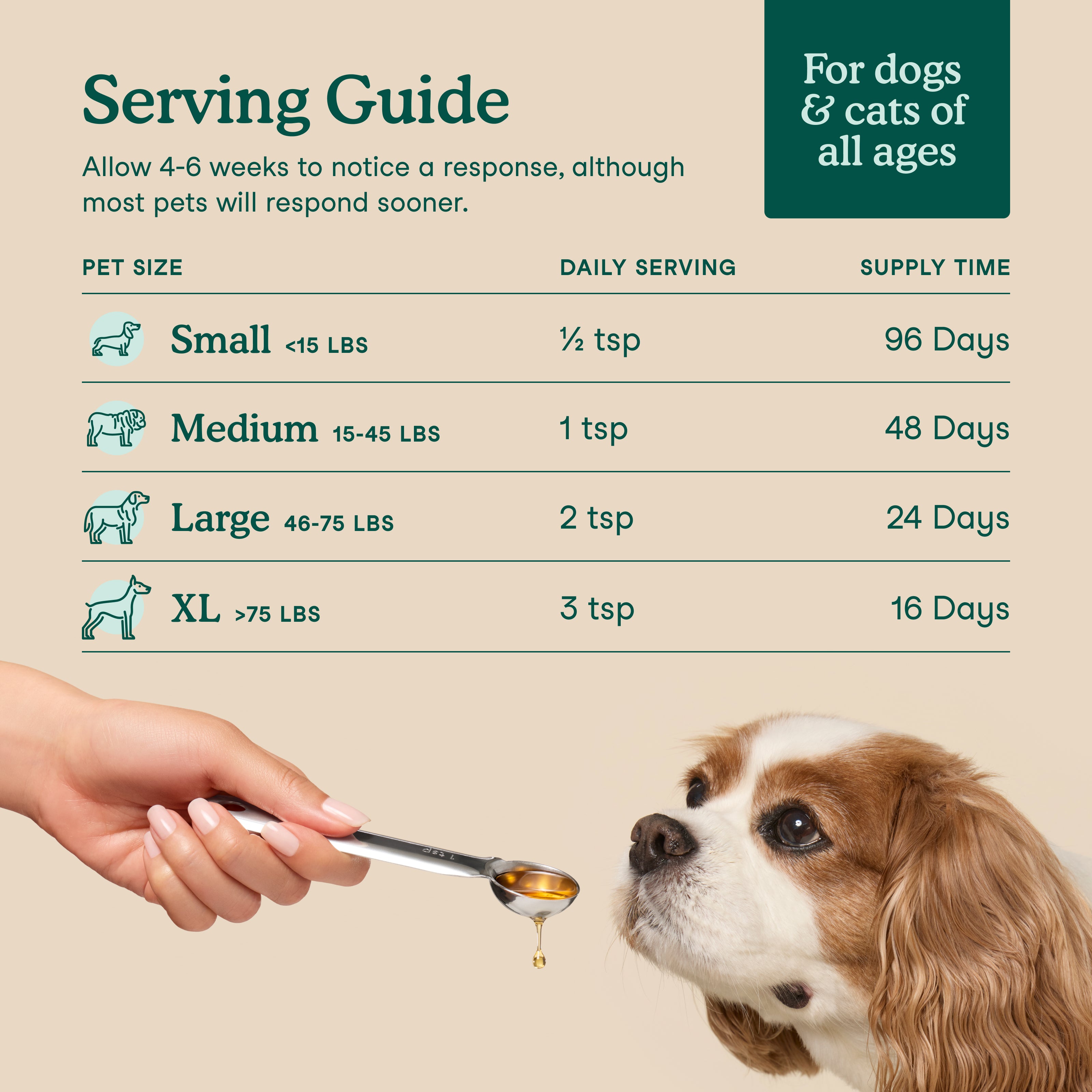 Serving guide chart for Fera's Algae Oil showing daily teaspoon amounts by pet weight, from a half teaspoon for small pets up to three teaspoons for XL dogs