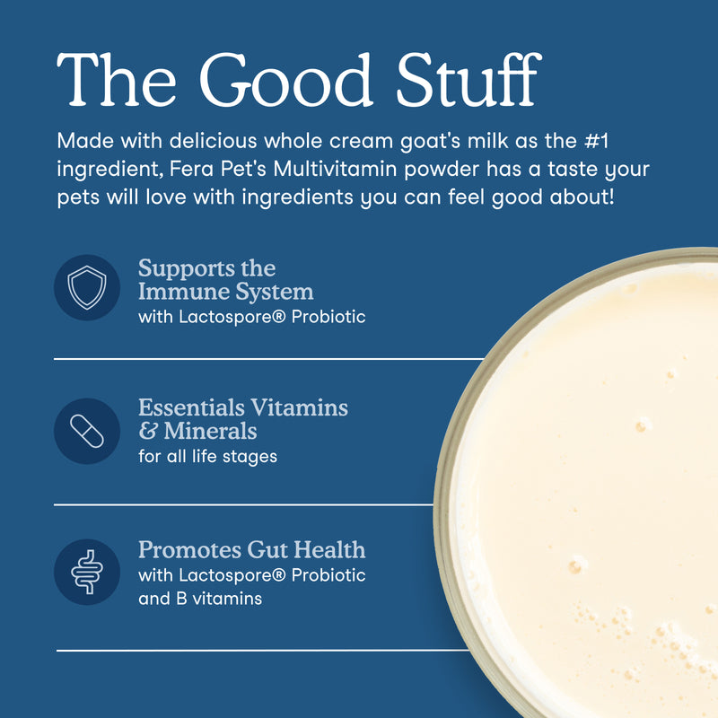 Promotional graphic for Fera Pet's Multivitamin powder, featuring a close-up of the creamy beige powder in a glass bowl on the right, set against a dark blue background with white text and three benefit callouts about immune system support, vitamins and minerals, and gut health.