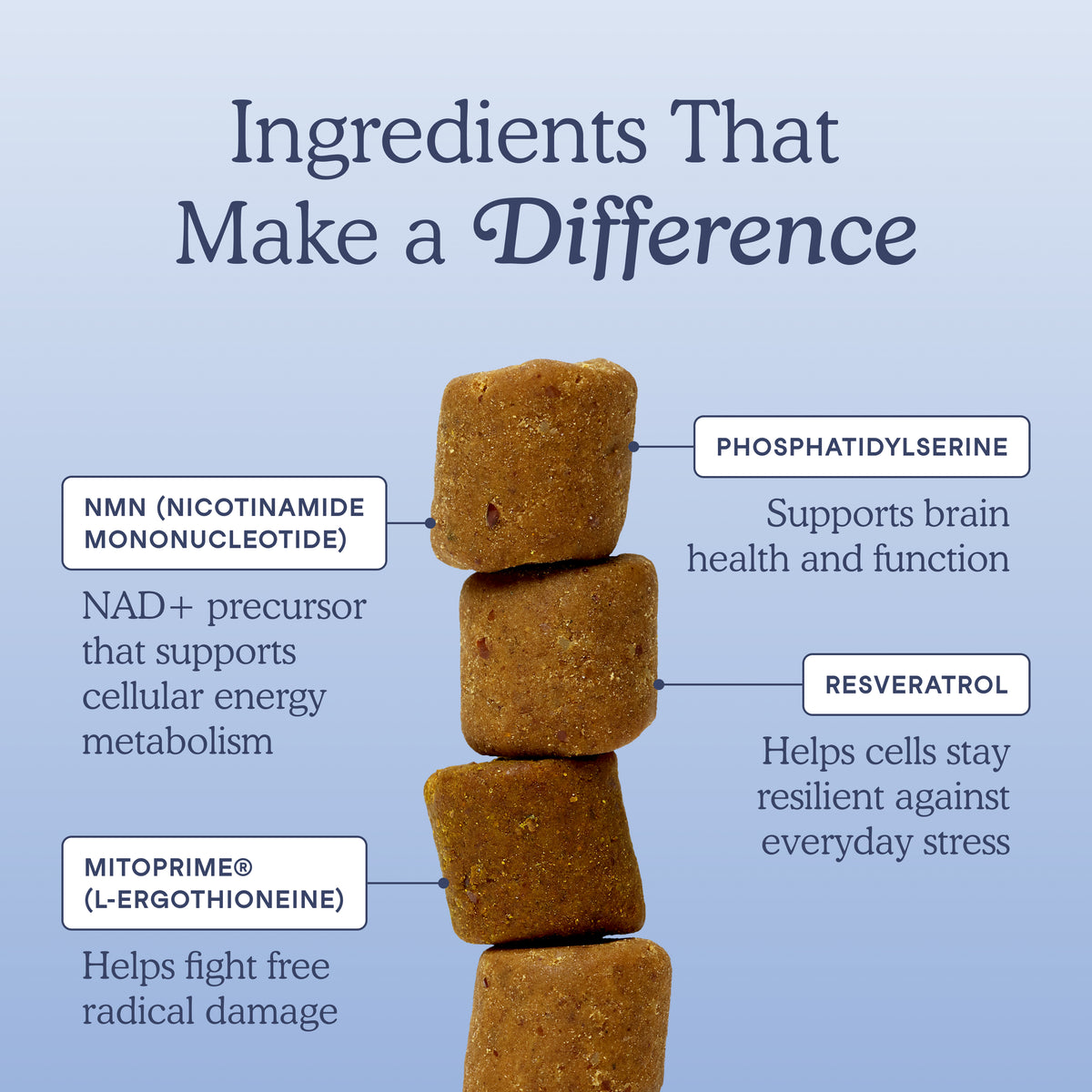 An infographic titled 'Ingredients That Make a Difference' on a light blue gradient background, showing a stack of brown kibble dog treats with callout labels pointing to phosphatidylserine, NMN, mitoprime, and resveratrol.
