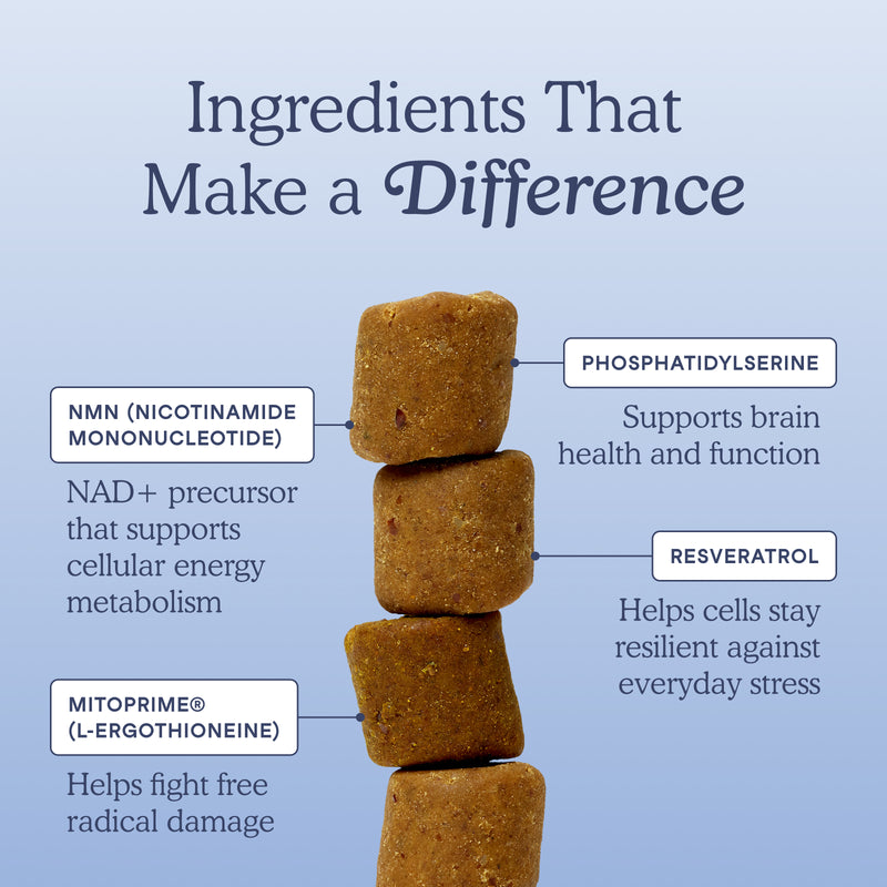 An infographic titled 'Ingredients That Make a Difference' on a light blue gradient background, showing a stack of brown kibble dog treats with callout labels pointing to phosphatidylserine, NMN, mitoprime, and resveratrol.