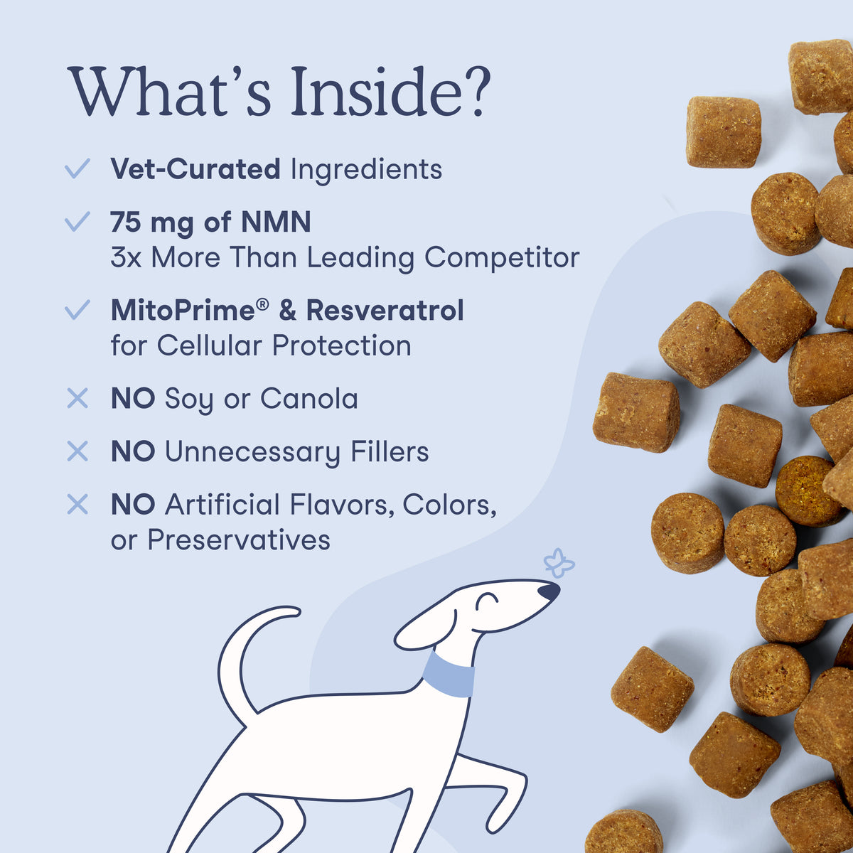 Longevity Soft Chews for Dogs