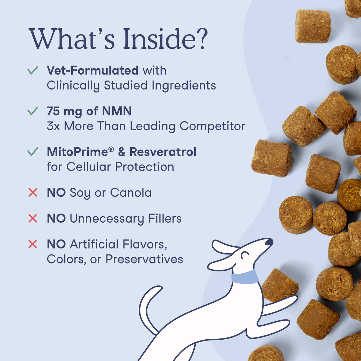 Promotional graphic for dog food featuring brown kibble pieces scattered on a pale blue background with text reading 'What's Inside?' and bullet points about ingredients and benefits. A white line-drawn dog appears at the bottom left.