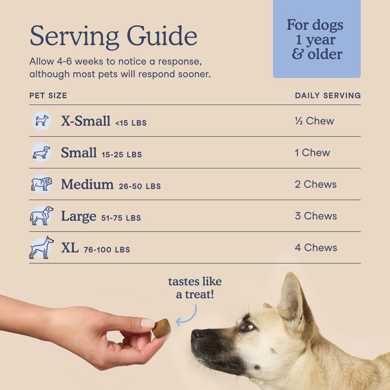 A dog serving guide infographic on a beige background, showing pet sizes from X-Small to XL and recommended daily serving amounts for dog chews. A hand is shown offering a brown chew to a light-colored dog at the bottom.