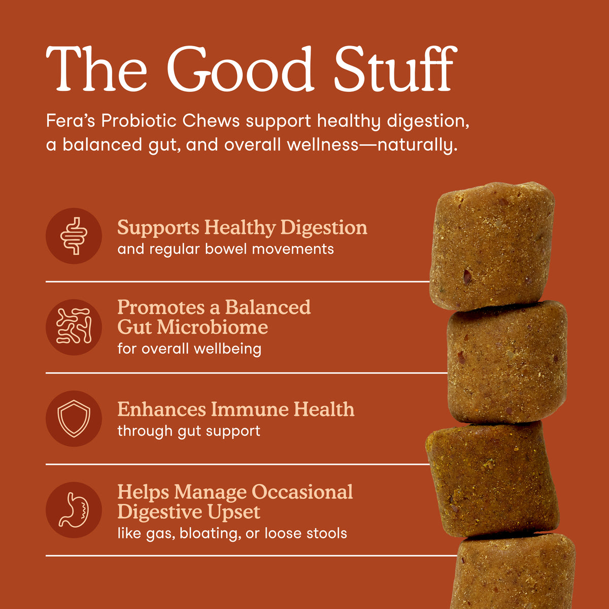 A promotional graphic for Fera's Probiotic Chews on a warm rust-orange background. The text explains benefits: supports healthy digestion, promotes a balanced gut microbiome, enhances immune health, and helps manage occasional digestive upset.