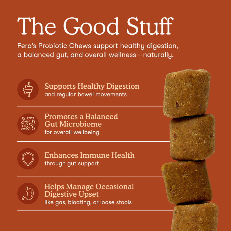 A promotional graphic for Fera's Probiotic Chews on a warm rust-orange background. The text explains benefits: supports healthy digestion, promotes a balanced gut microbiome, enhances immune health, and helps manage occasional digestive upset.