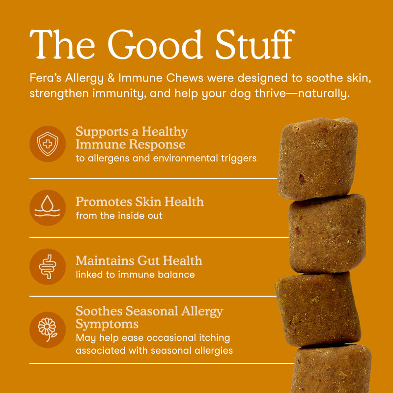 Promotional graphic for Fera's Allergy & Immune Chews, featuring a stack of brown dog chews on the right and text on the left explaining benefits against an orange background.