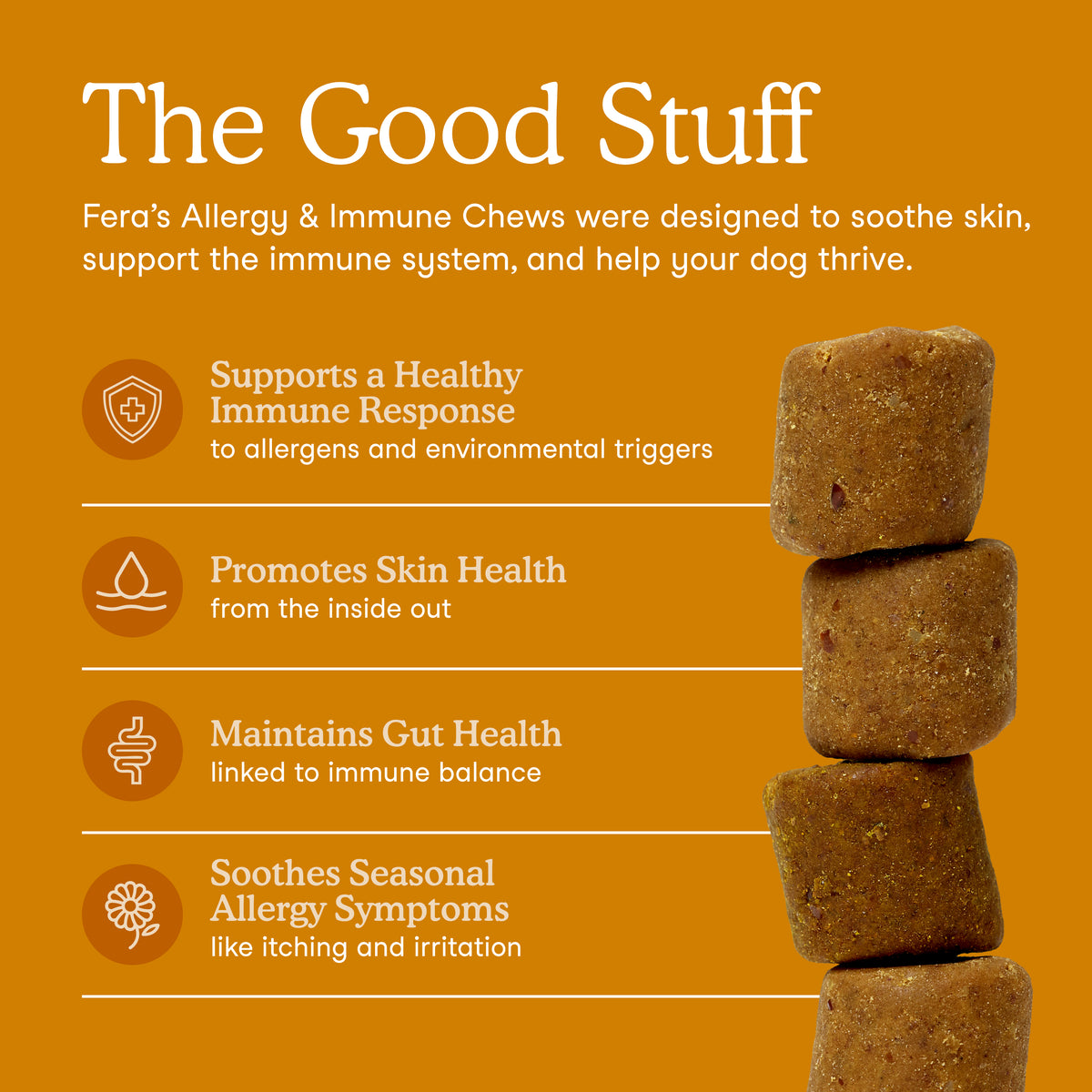 Allergy & Immune Support Soft Chews for Dogs