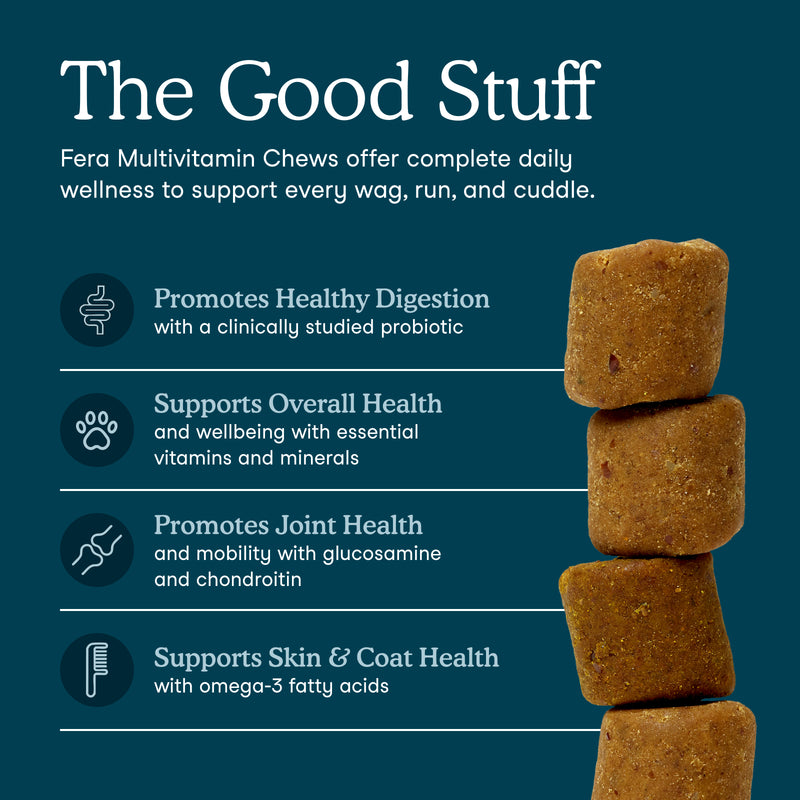 A dark teal promotional graphic for Fera Multivitamin Chews, featuring a stack of brown square chews on the right and text on the left outlining benefits for digestion, overall health, joint health, and skin and coat health.