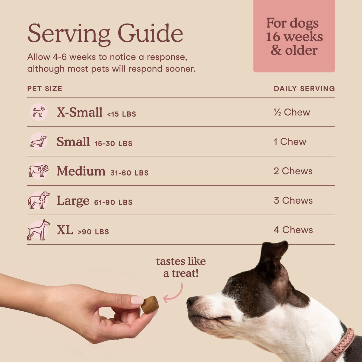 Healthy Weight & Muscles for Dogs