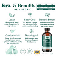 5 Benefits of Algae Oil for Cats and Dogs, Vegan, Skin and Coat, Immune System, Cardiovascular, Neurological