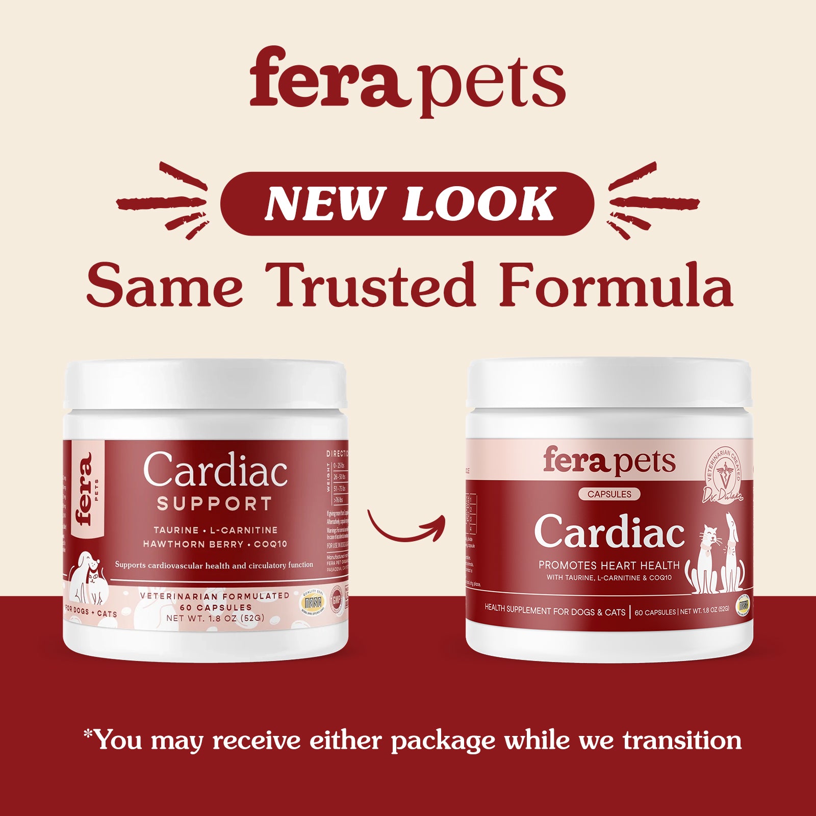Cardiac Support for Dogs and Cats