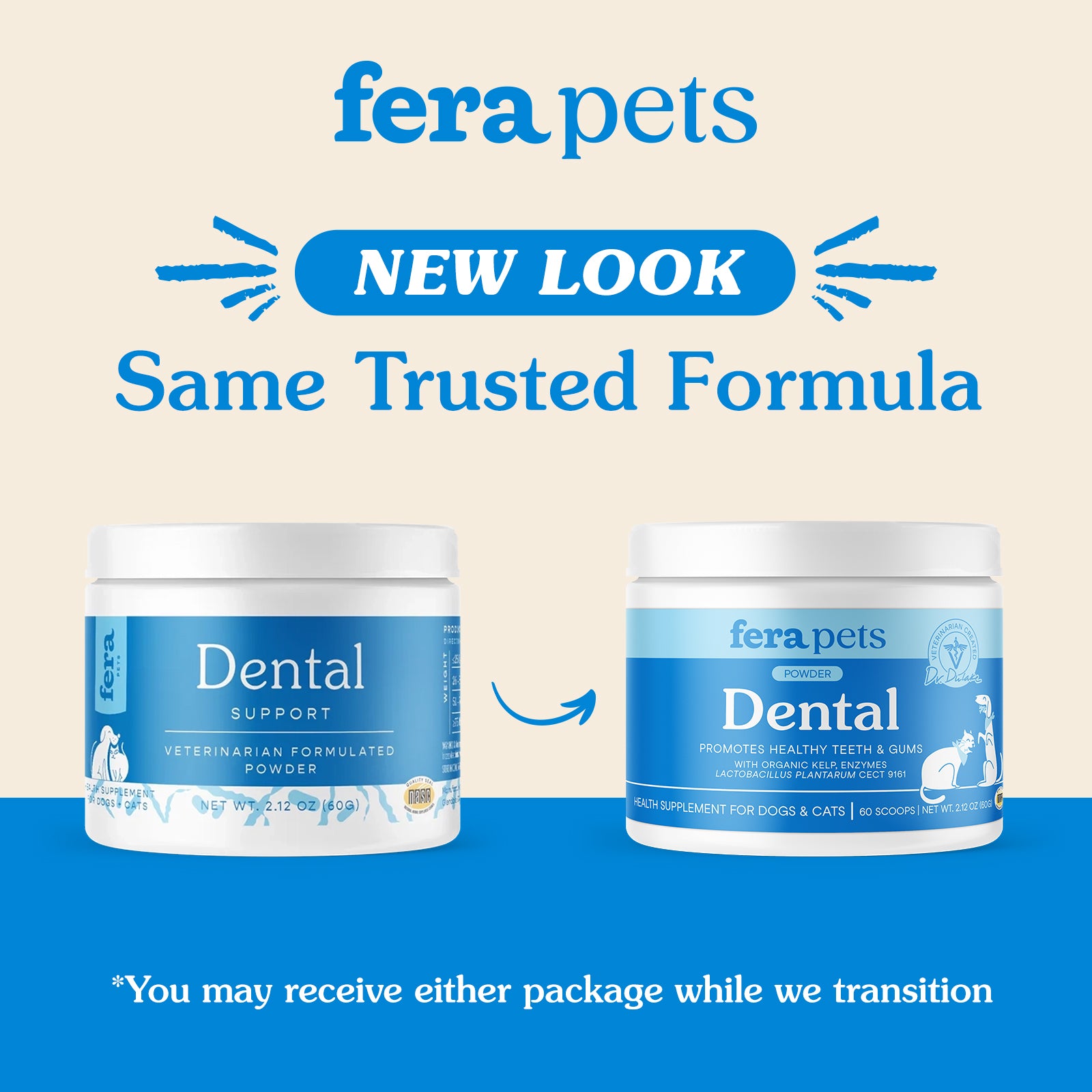 Dental Support
