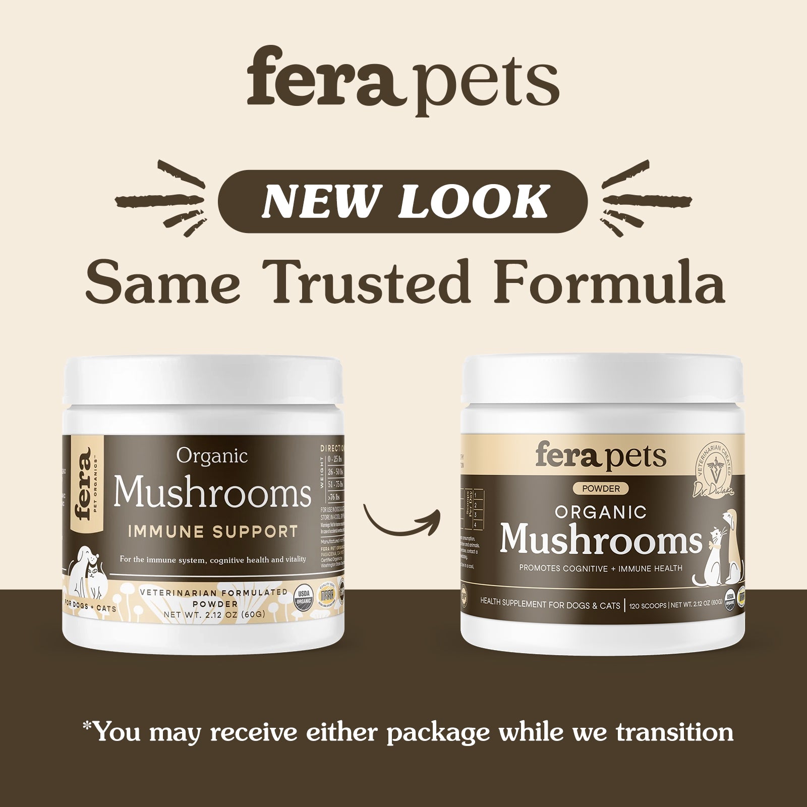 USDA Organic Mushroom Blend for Immune Support