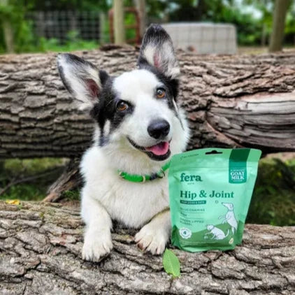 Glucosamine Joint Support for Dogs