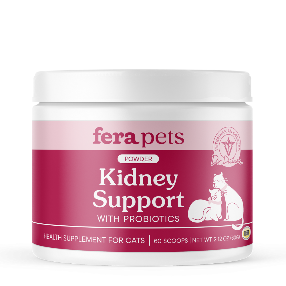 Kidney Support for Cats