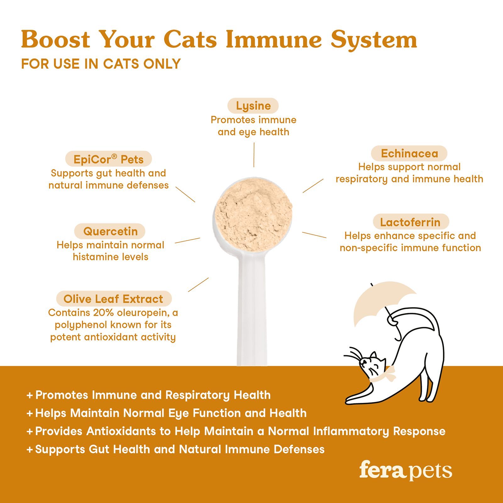 Lysine Immune for Cats