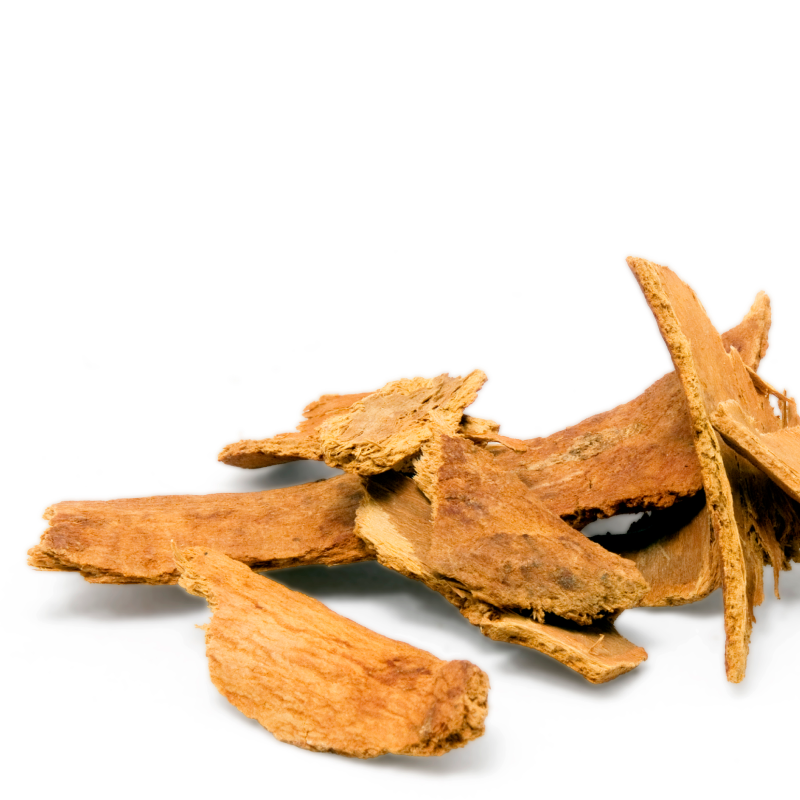 Dried bark slices piled on a white background.