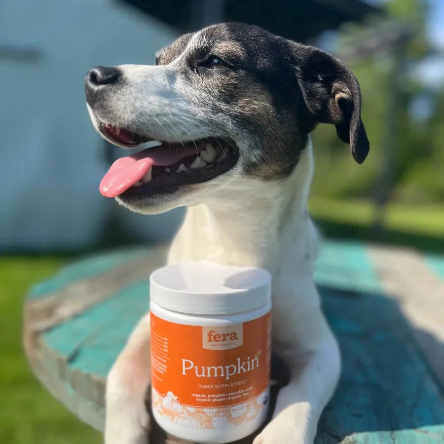 Canned Pumpkin For Dogs Runny Poop