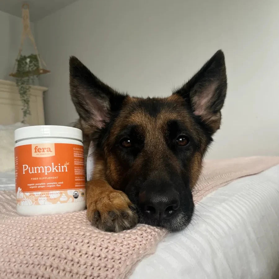 Fiber Supplement for Dogs 