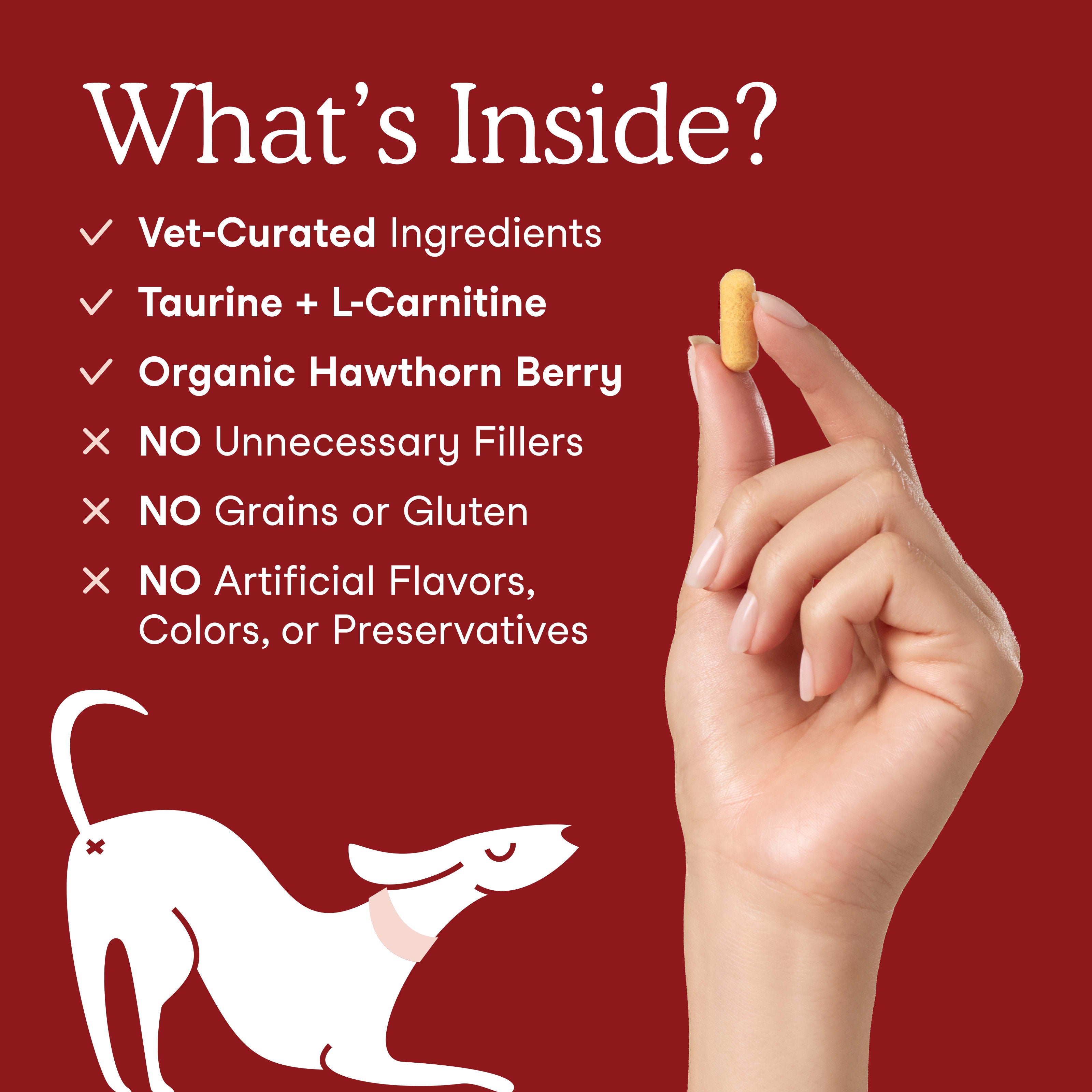 Cardiac Support for Dogs and Cats Fera Pets Cardiac Support for Dogs and Cats Fera Pets
