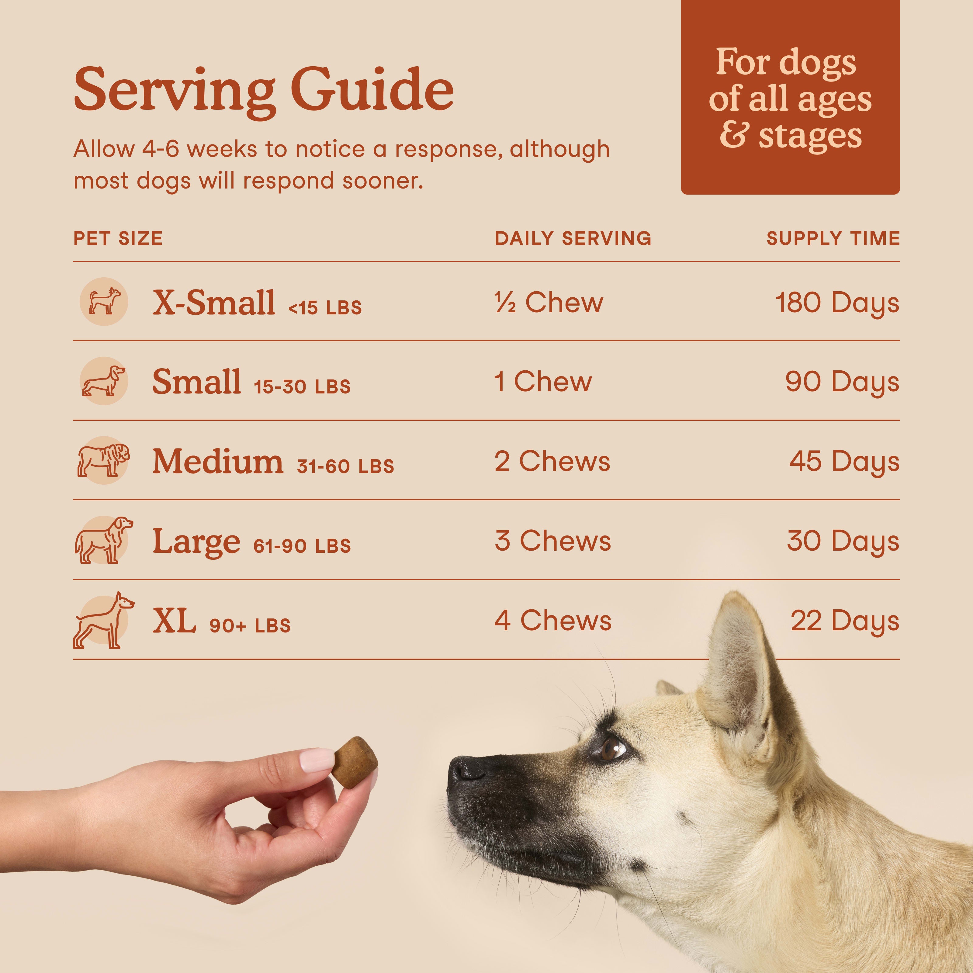 Probiotics Soft Chews